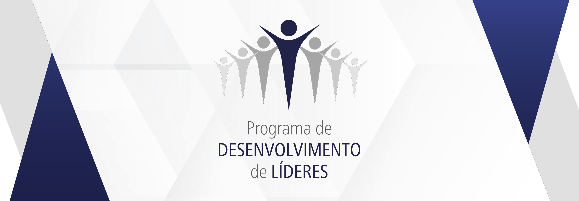 Programa de Desenvolvimento de Líderes é nova iniciativa da NPE